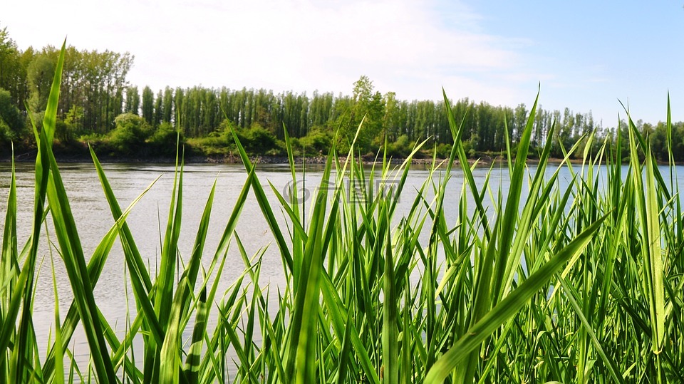 河,性质,夏季