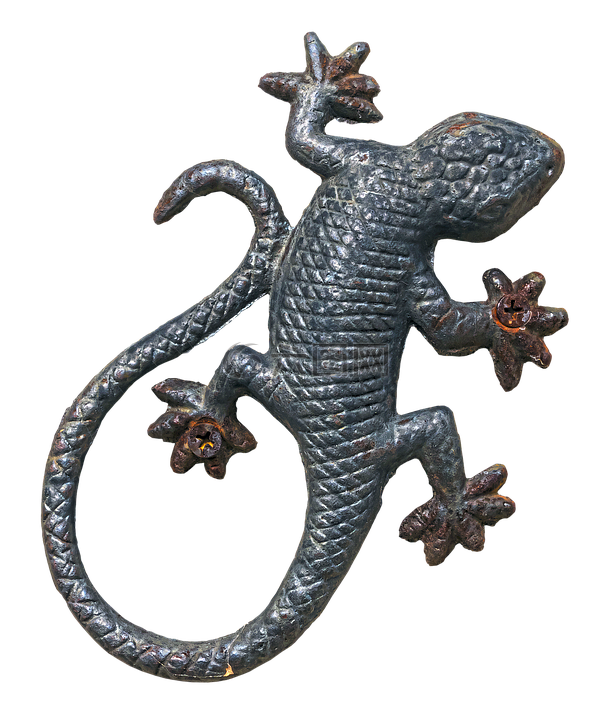 蜥蜴,爬行動(dòng)物,墻面裝飾