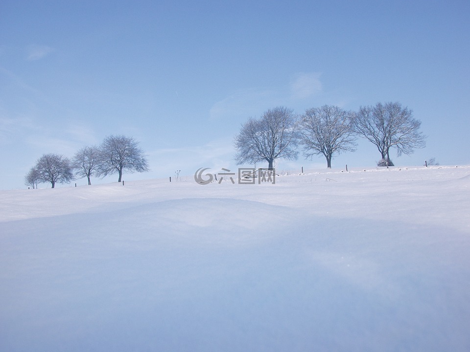 雪,冬天,景觀