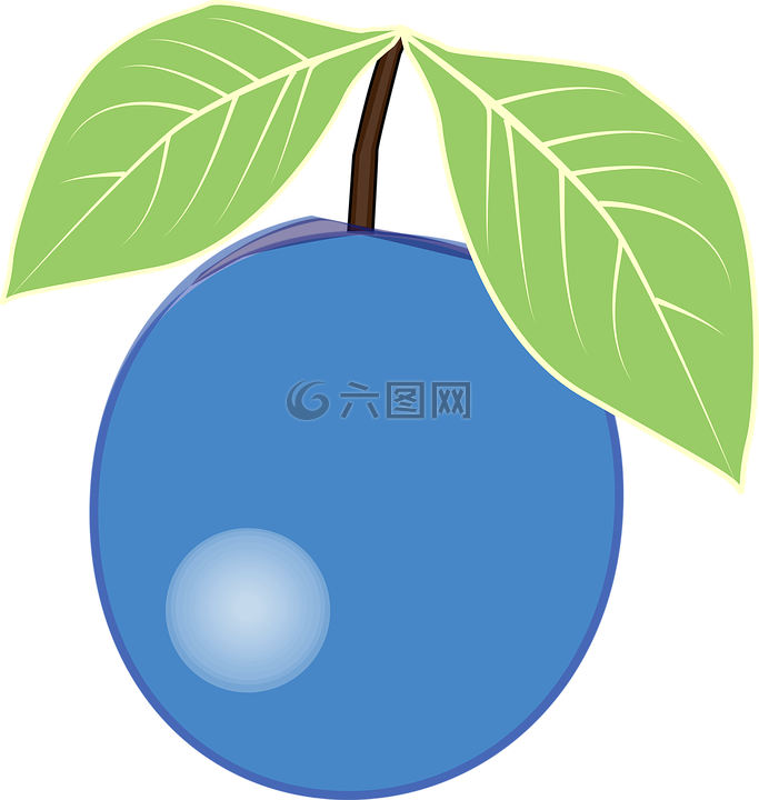 浆果,蓝莓
