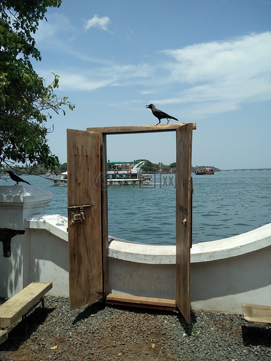 高知,河,fortkochi