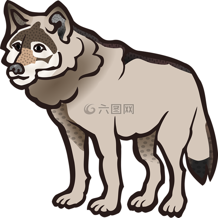 狼,動(dòng)物,狗