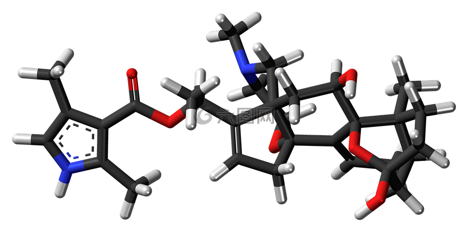 batrachotoxin,毒藥,鏢蛙