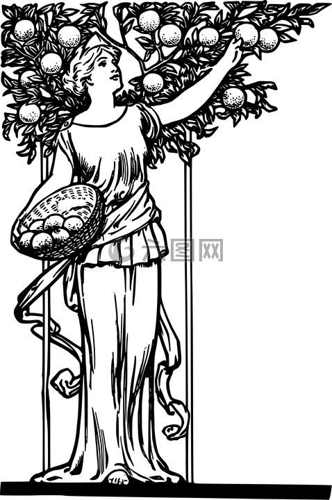 赤腳,籃,書擋