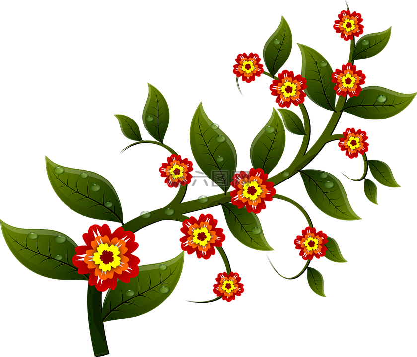 花,枝杈,自然