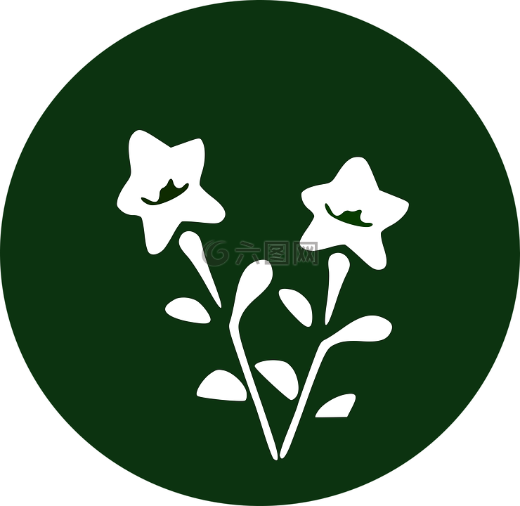 桔梗,鐘花,植物