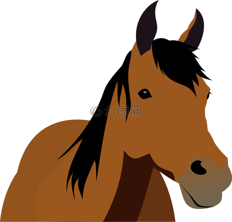 動物,牛,馬