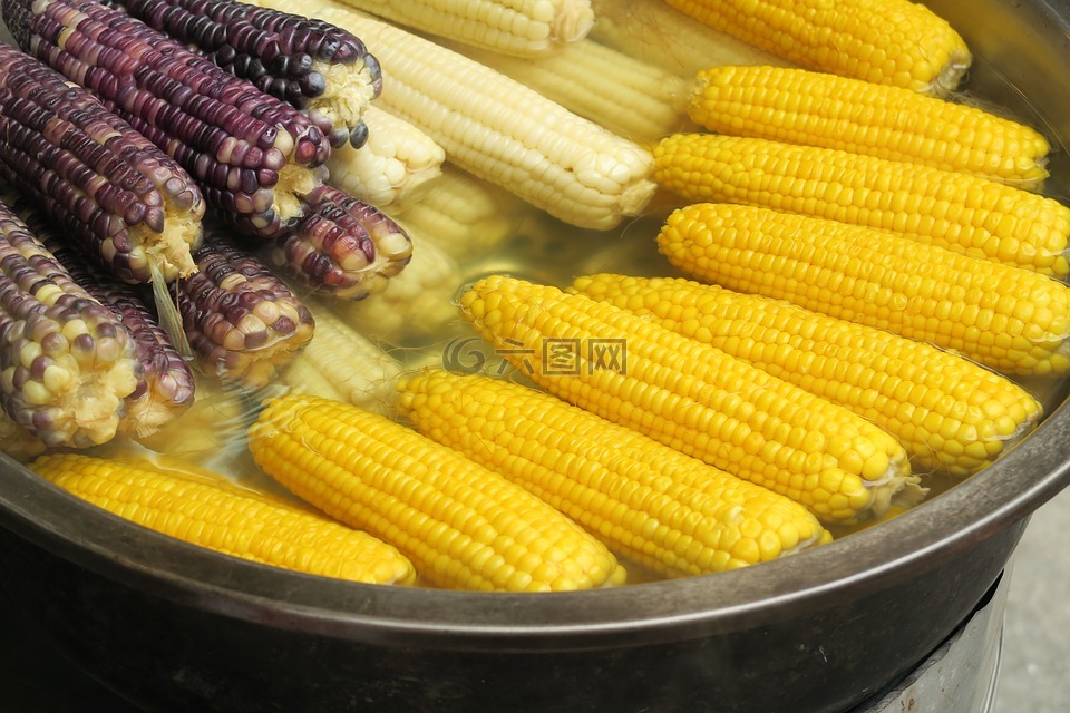 玉米,玉米棒子,烹飪