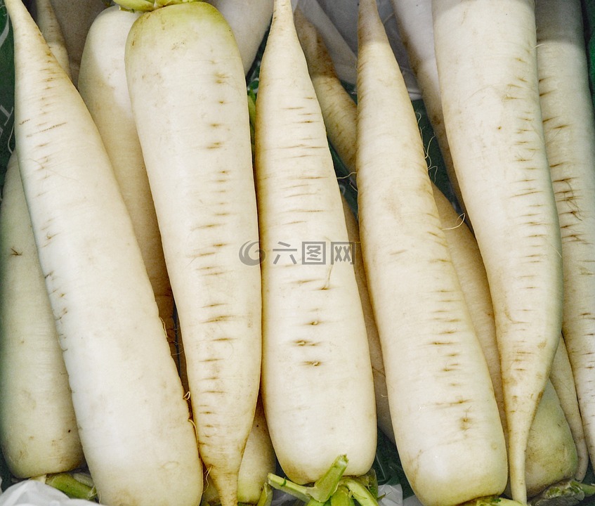 冰柱蘿卜,蔬菜,白