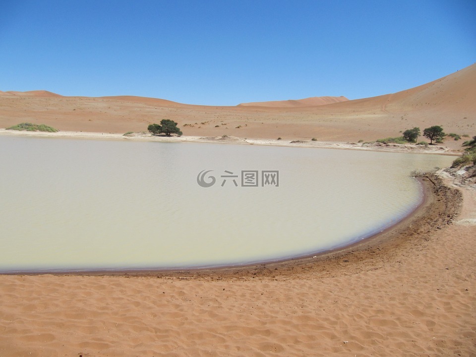 deadvlei,纳米布,沙漠