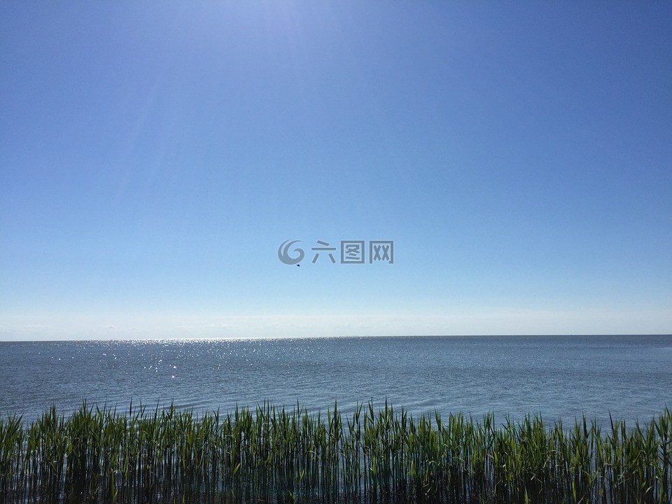 奈達(dá),立陶宛,水