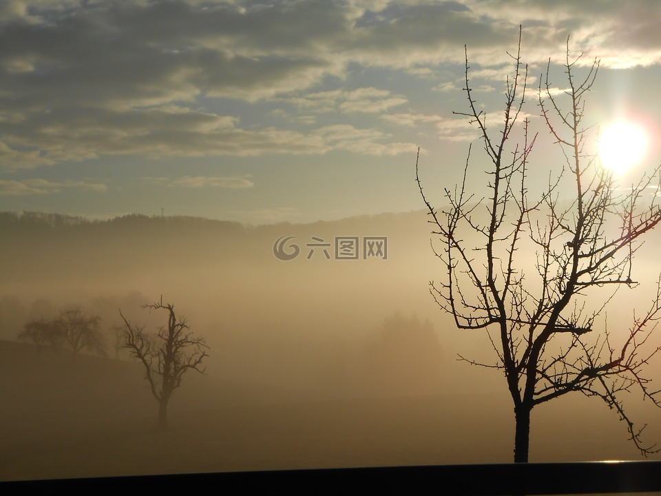 日出,雾,清晨的阳光