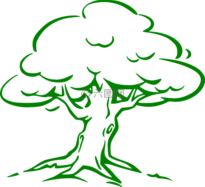 奥克,树,绿色