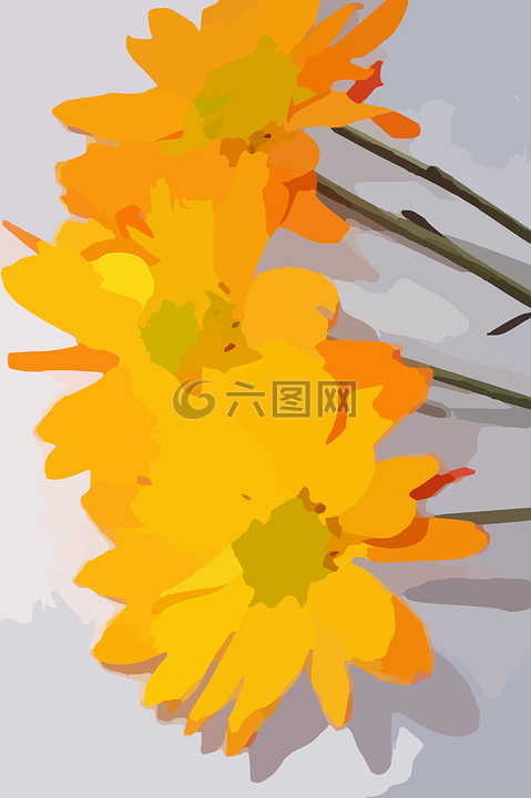 鮮花,盛開,植物