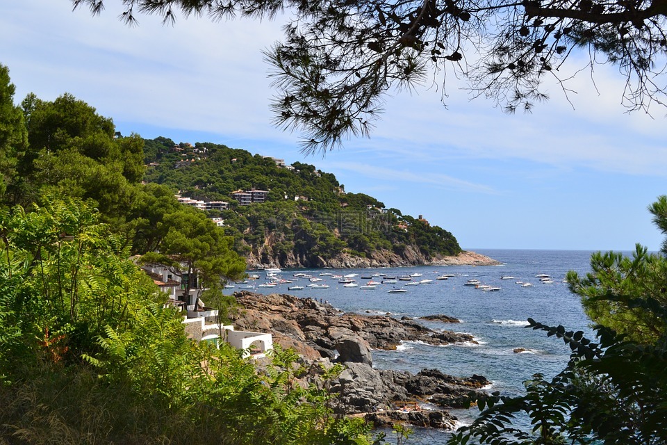 海,侧,岩