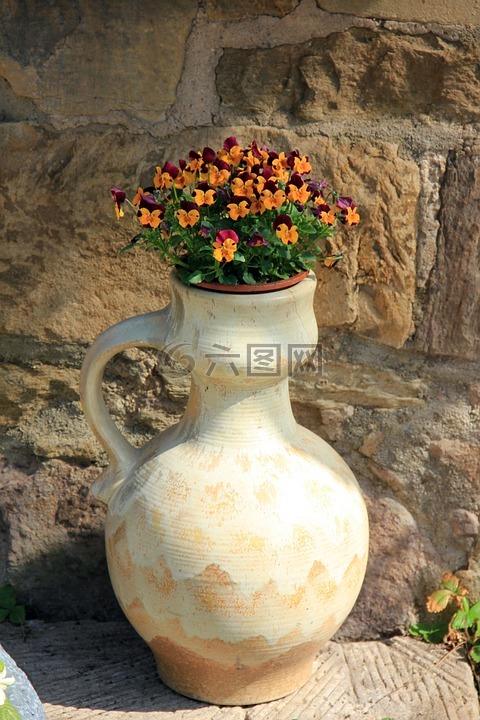 花瓶,鲜花,stiefmuetterechen
