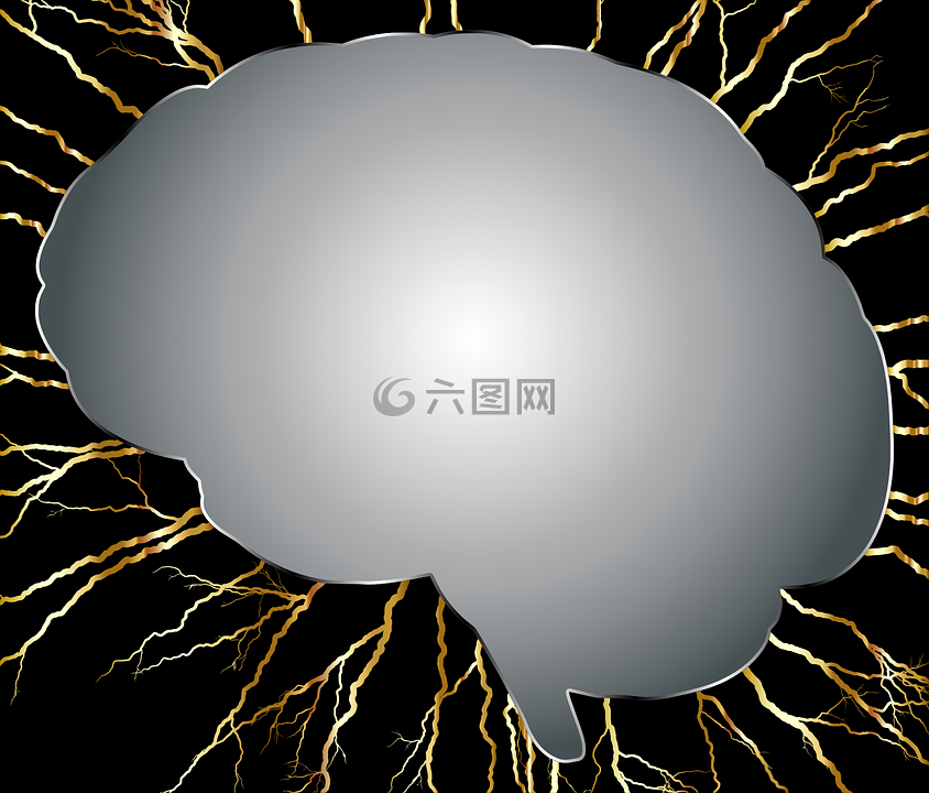 腦,頭,頭骨