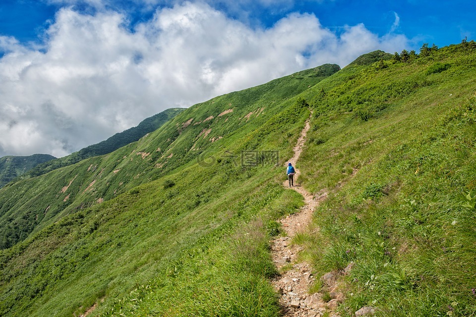 徒步旅行,白山,国家公园