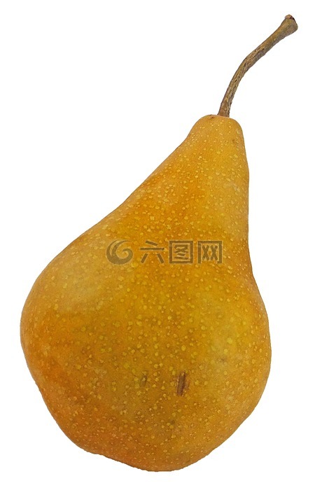 梨,博斯克,博斯克梨