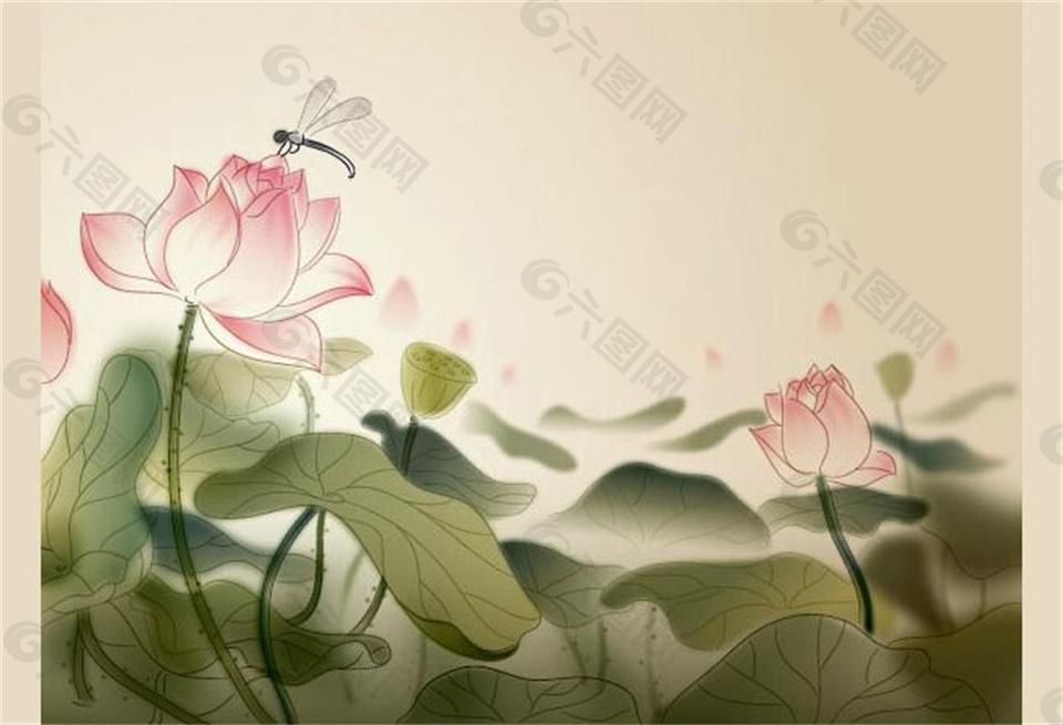 flash制作蜻蜓與蓮花動畫