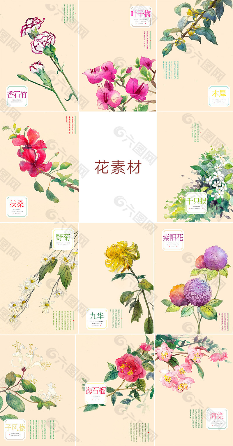 各种花的背景素材背景素材免费下载 图片编号 7752202 六图网