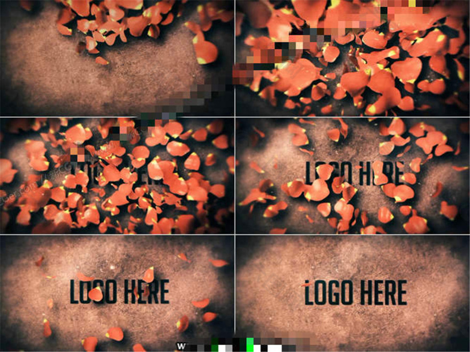 玫瑰花瓣落下后logo標志出現(xiàn)的AE模板