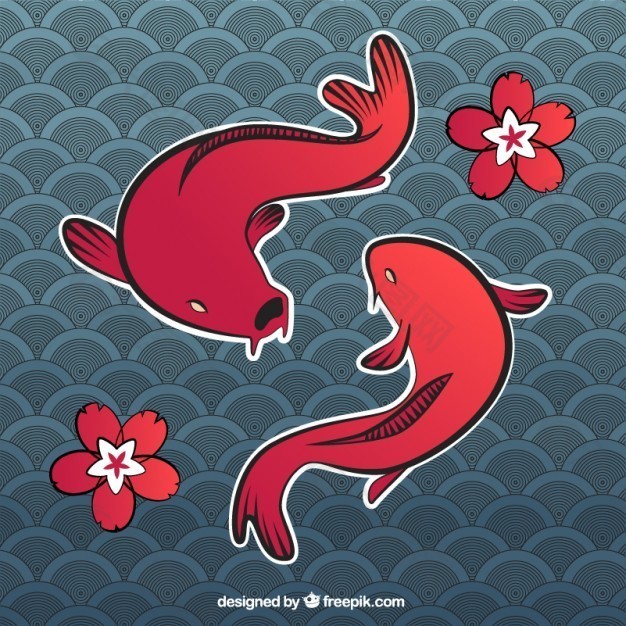 錦鯉魚