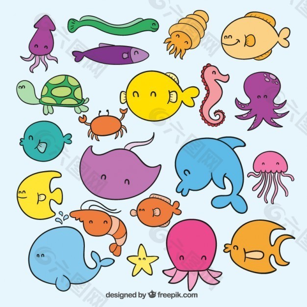 可爱的海洋生物