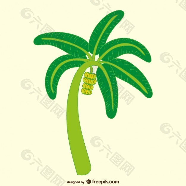 香蕉樹的插圖