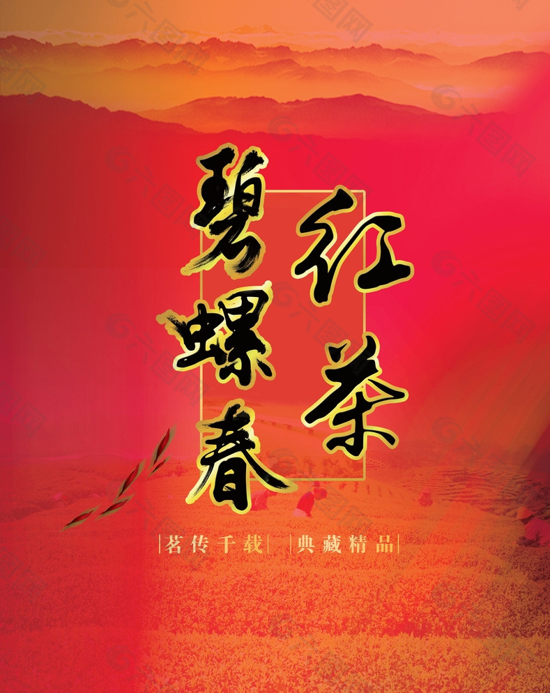 碧螺春红茶图片