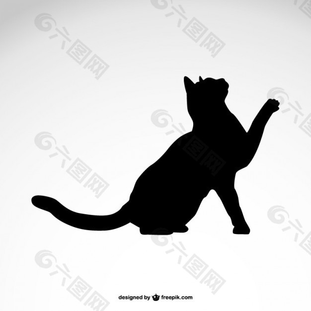 黑猫的剪影