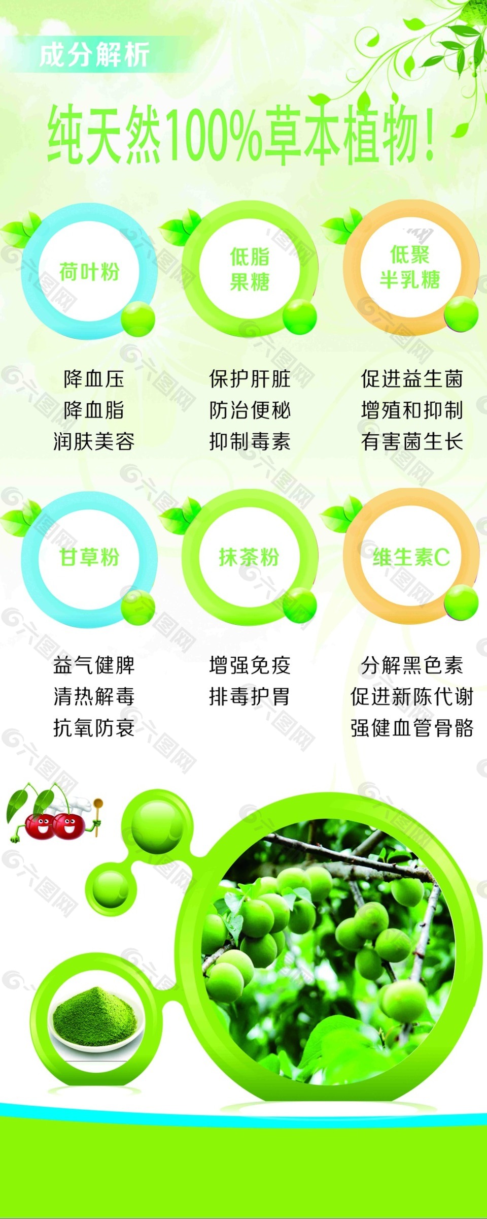 酵素果宣傳易拉寶
