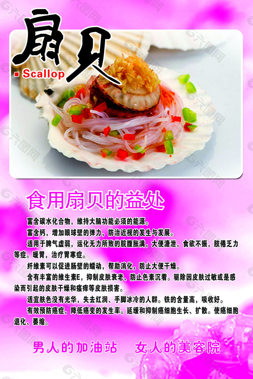 扇貝海報(bào)
