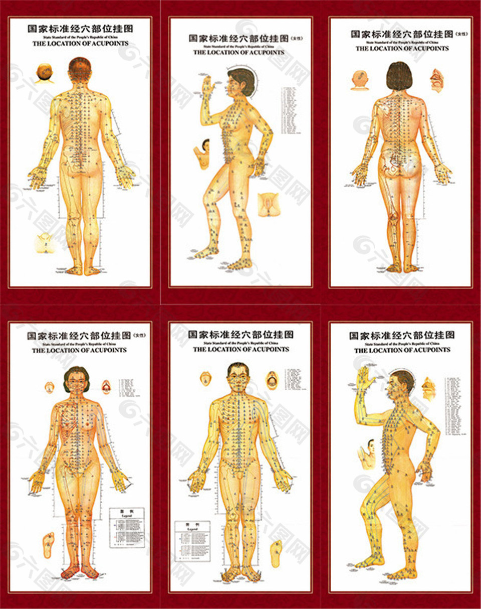 國家標(biāo)準(zhǔn)經(jīng)穴部位