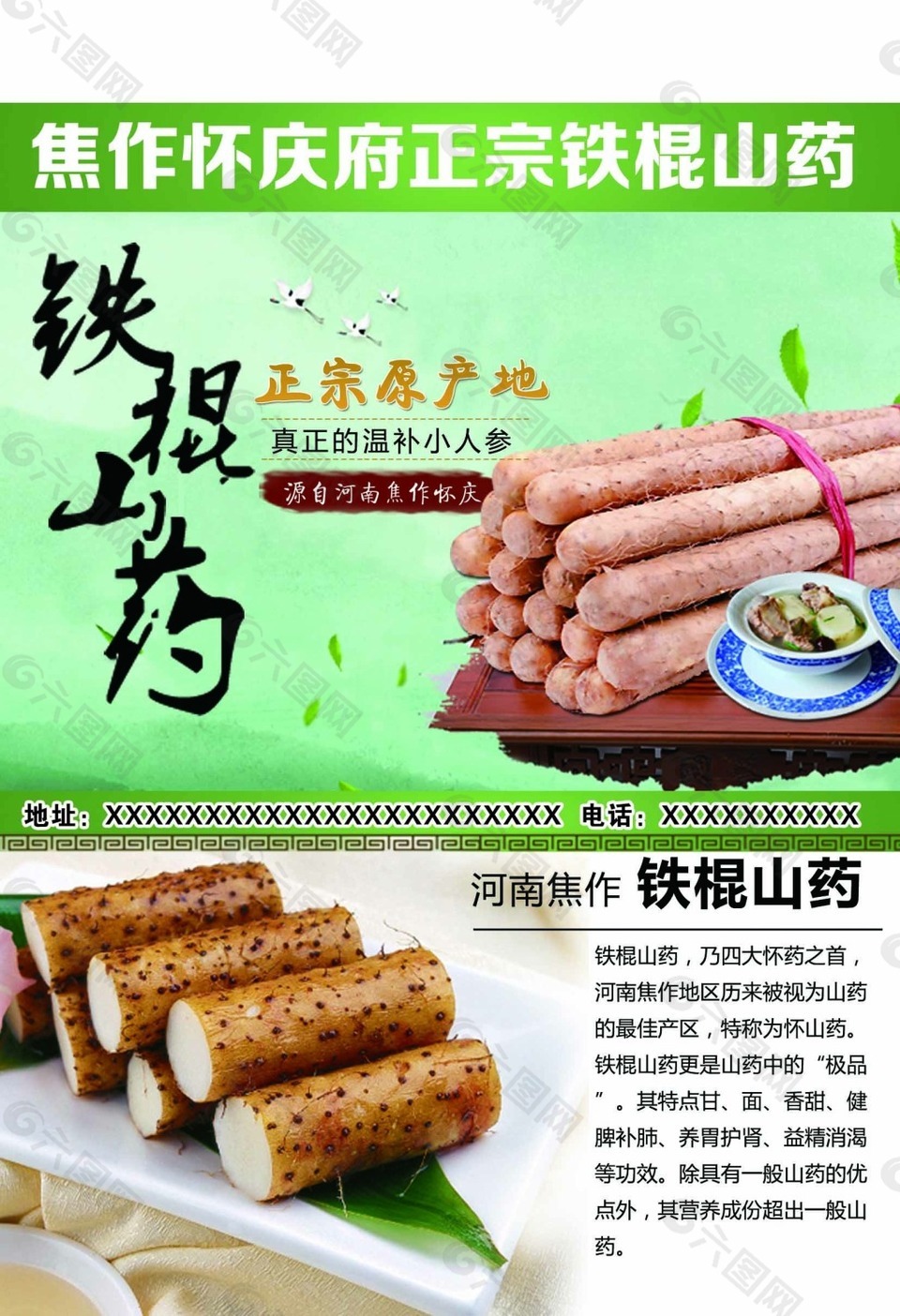鐵棍山藥  反