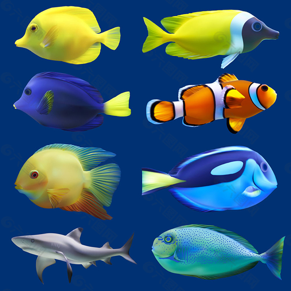 熱帶深海魚矢量素材
