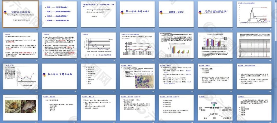 腎綜合征出血熱課件
