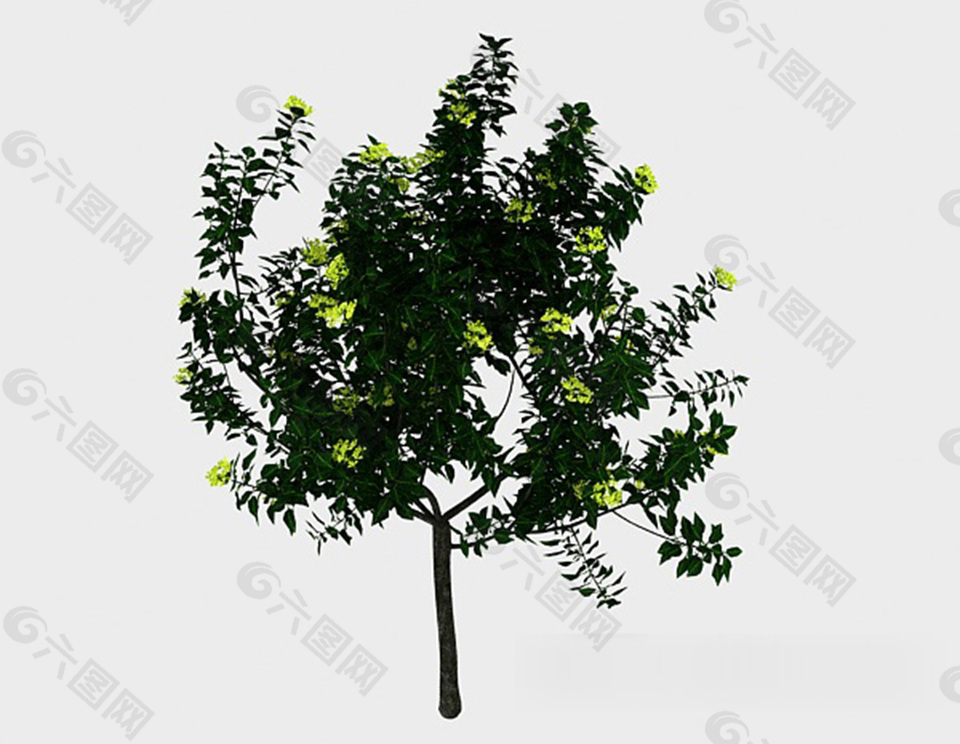 綠色室外植株3d模型下載