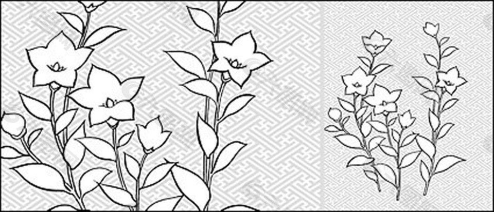 桔梗科線條畫(huà)