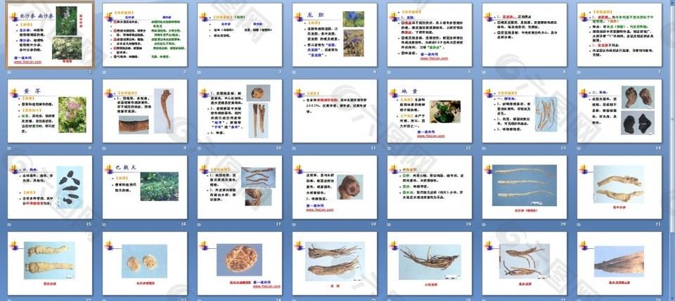 根及根莖類中藥7