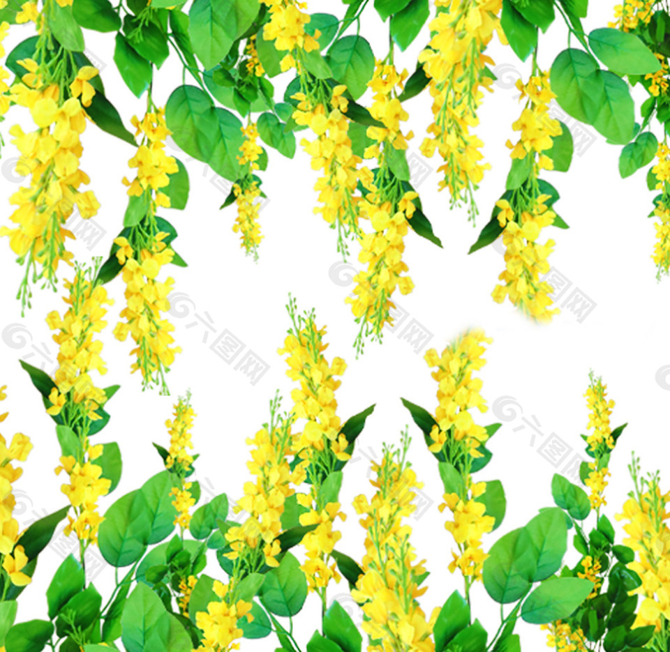 綠葉鮮花