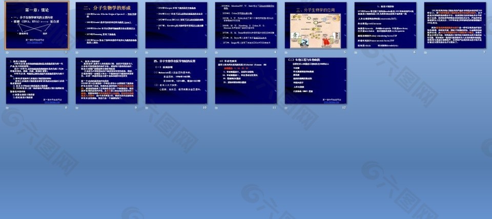 分子生物學(xué)基礎(chǔ)課件下載