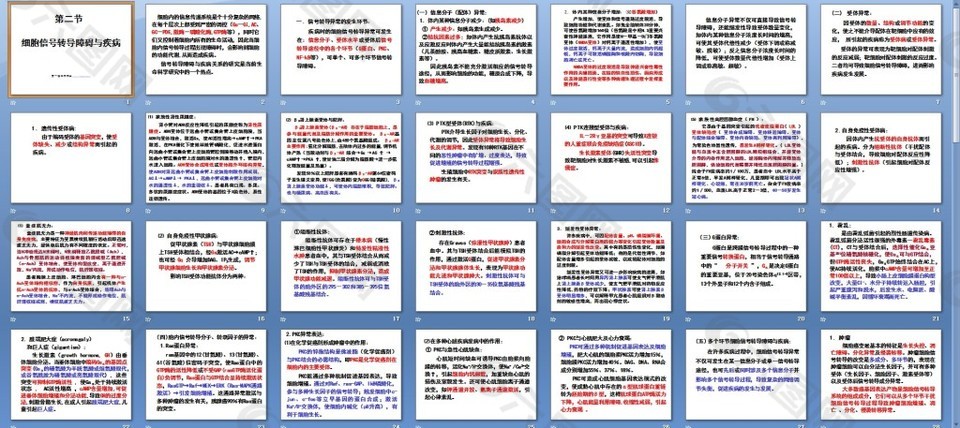 細(xì)胞信號轉(zhuǎn)導(dǎo)異常與疾病