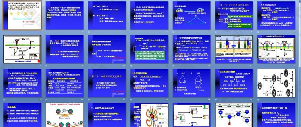 免疫調(diào)節(jié)