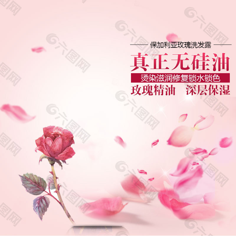 玫瑰