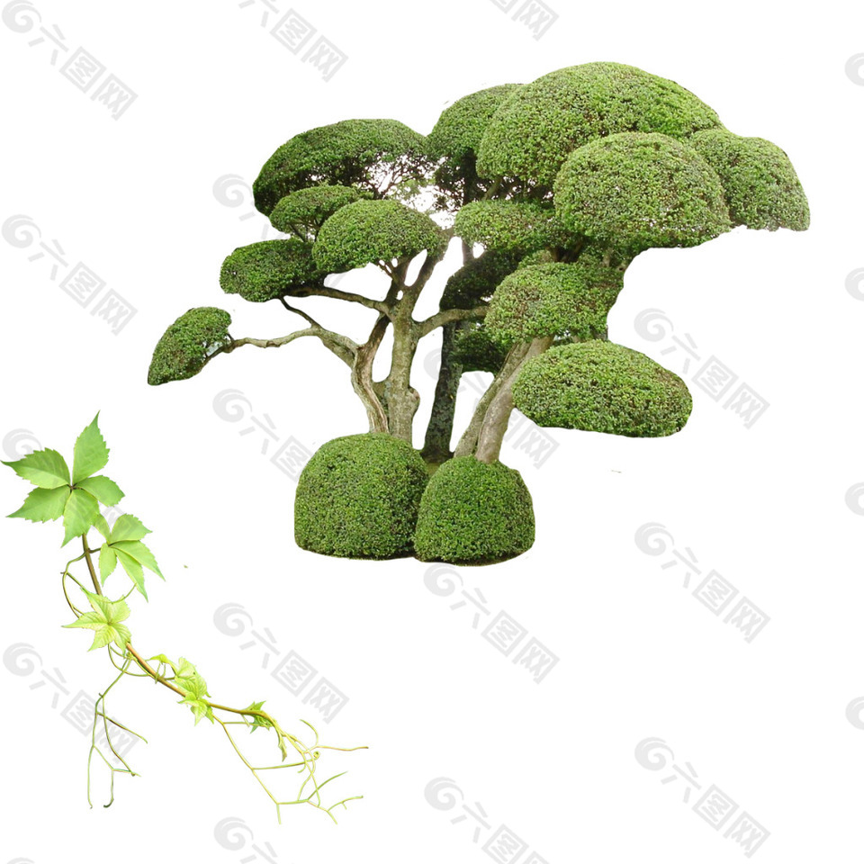 園藝