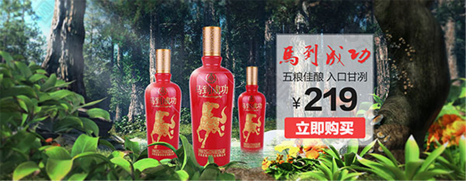 五糧佳釀淘寶海報