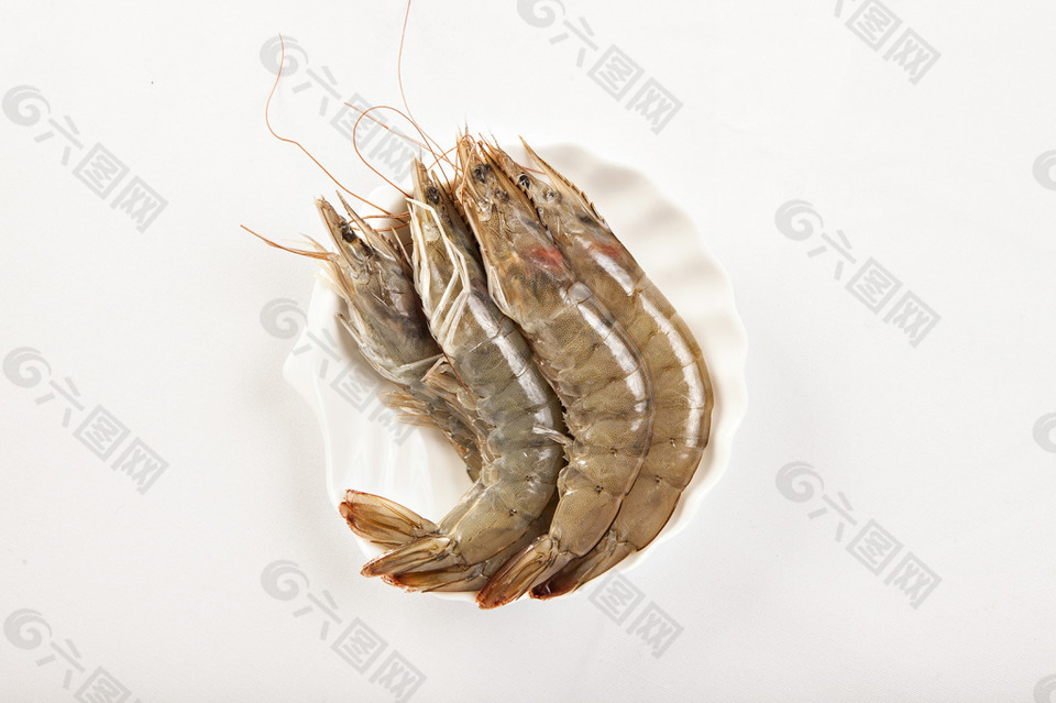 白虾