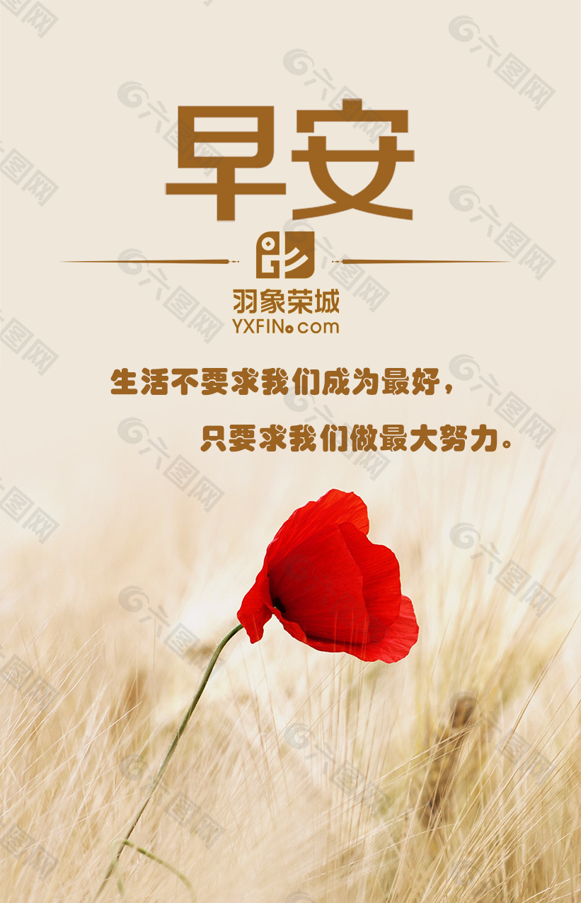 早安   創(chuàng)意  設(shè)計(jì) 唯美 玫瑰 背景