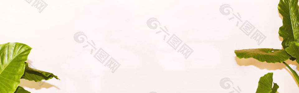 清新葉子淘寶背景